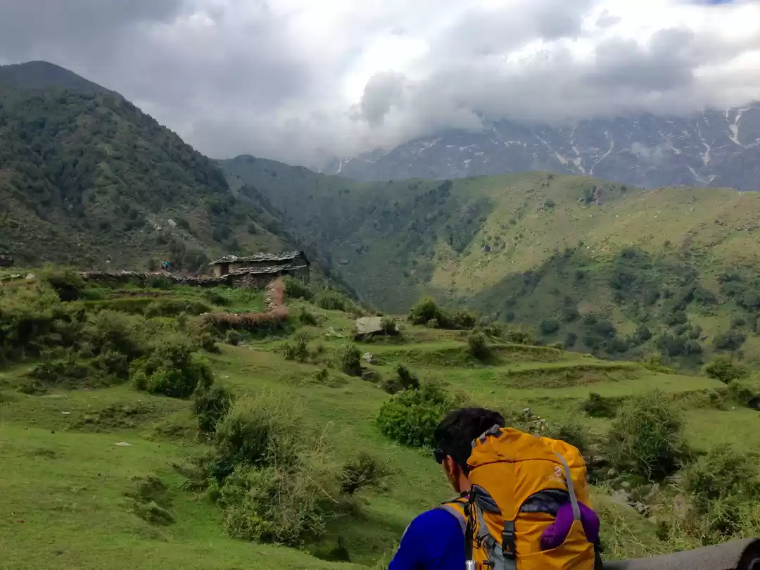 Photo of Trekking for the fir