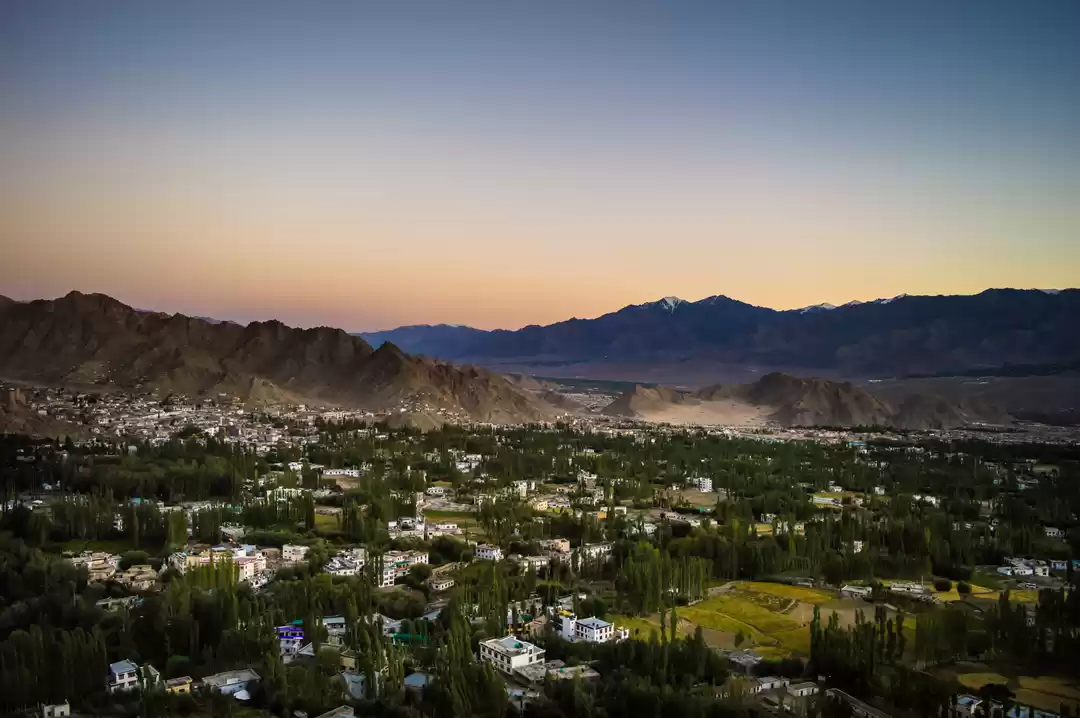 Photo of Why Traveling North 