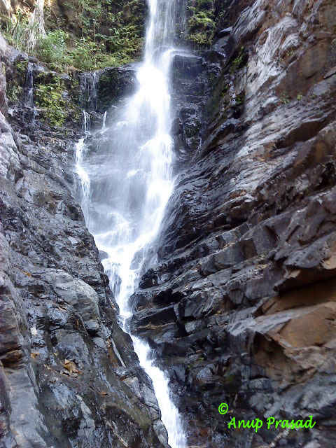 Explore The Unexplored Side Of Goa Three Stunning Waterfalls Tripoto One of the difficult treks in goa. goa three stunning waterfalls