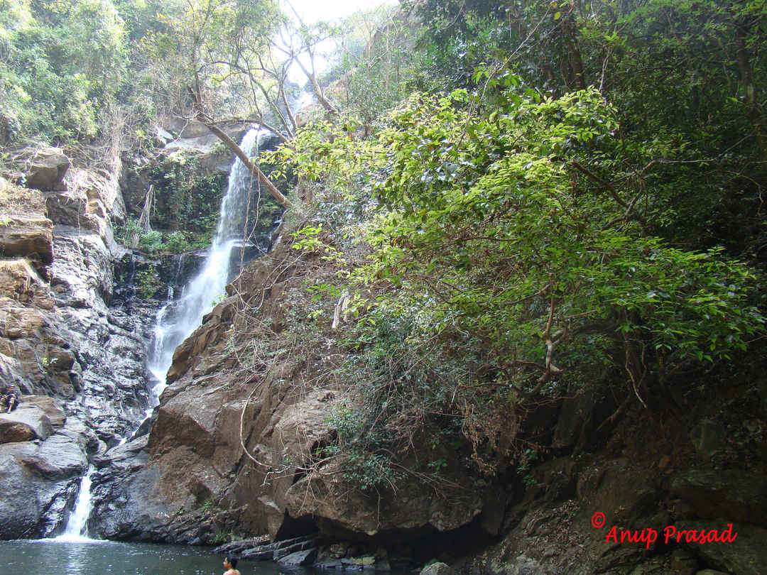 Explore The Unexplored Side Of Goa Three Stunning Waterfalls Tripoto Mainapi waterfall netravali wildlife sanctuary sanguem goa. goa three stunning waterfalls