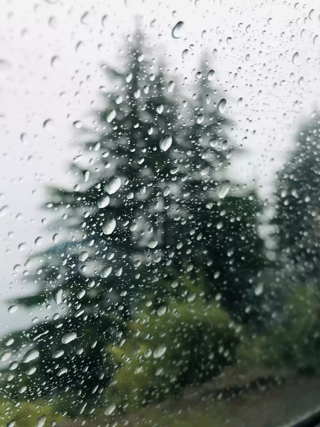 Photo of Weekend Trip to Chak