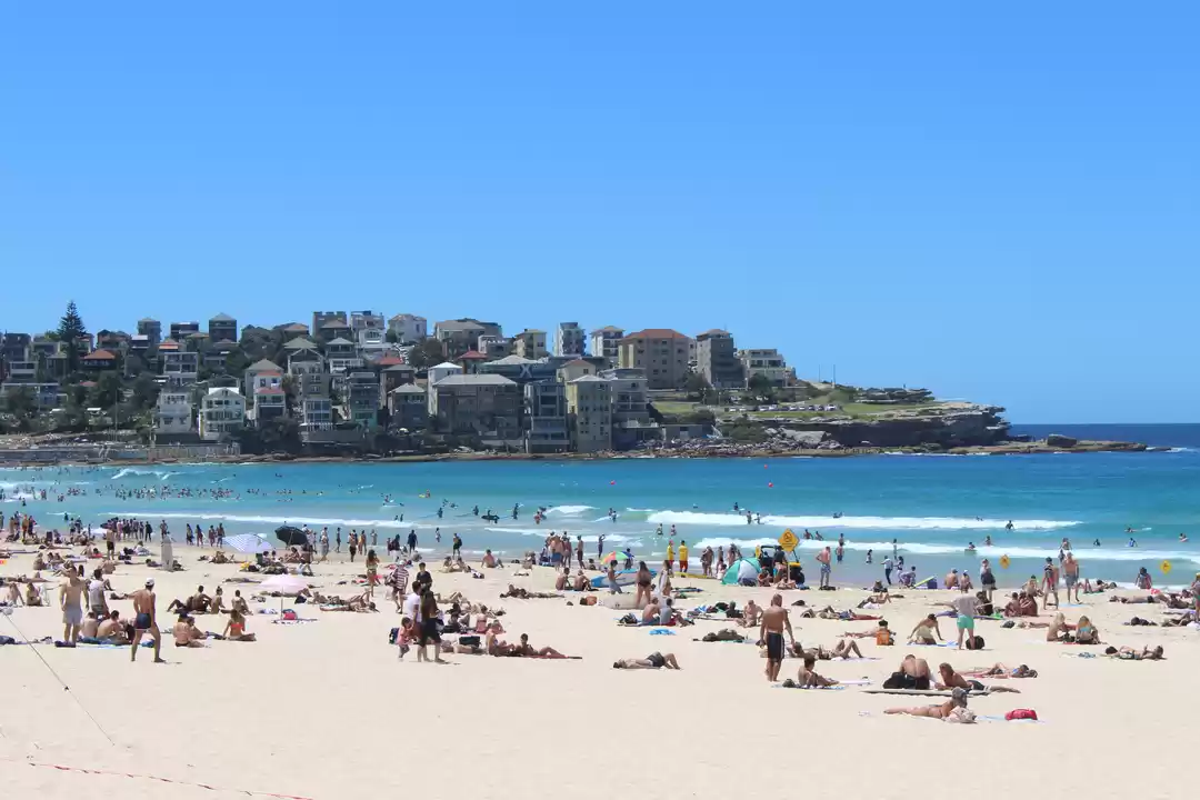 Photo of Pacific Blues At Bon