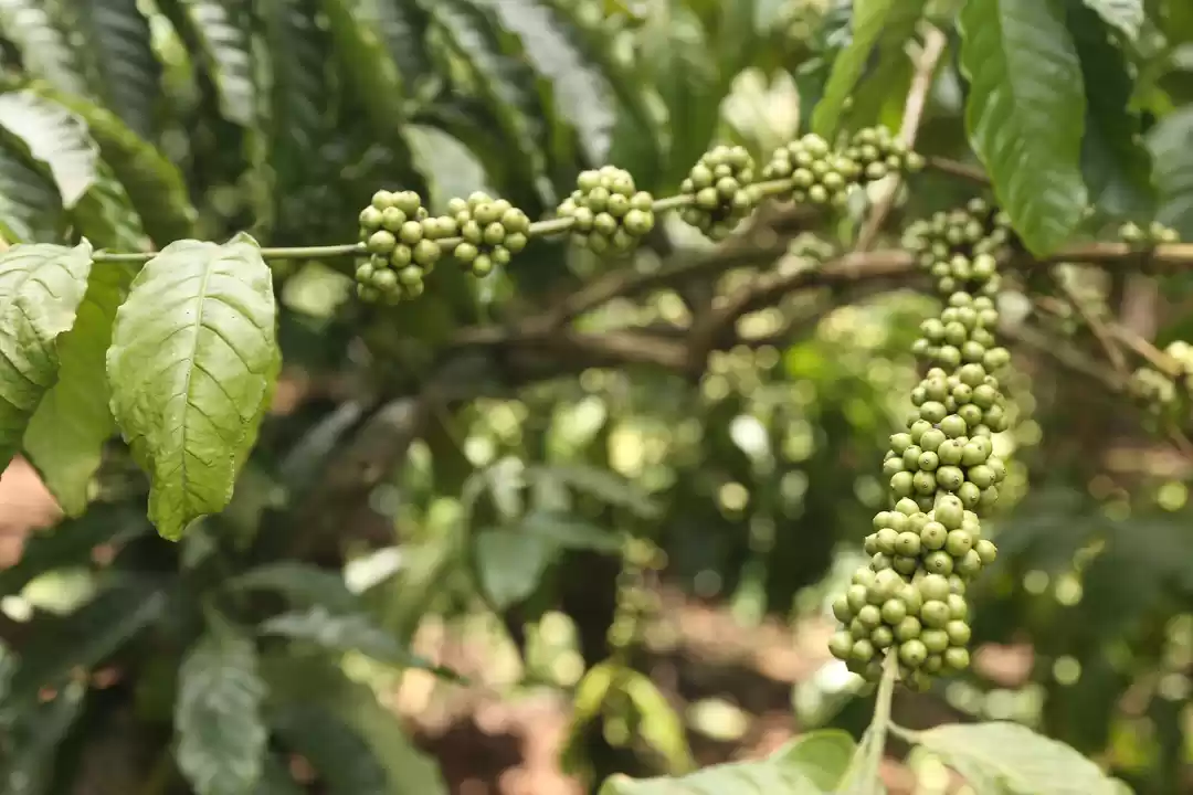 Photo of Exploring The Best o