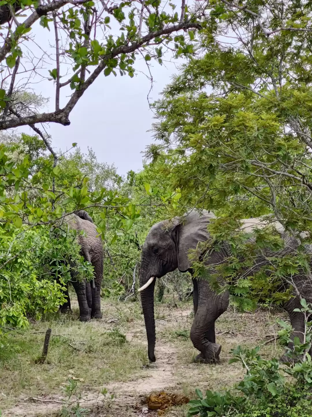 Photo of Experiencing The Wil