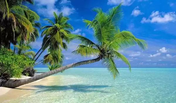 Photo of 7 Amazing Beaches In