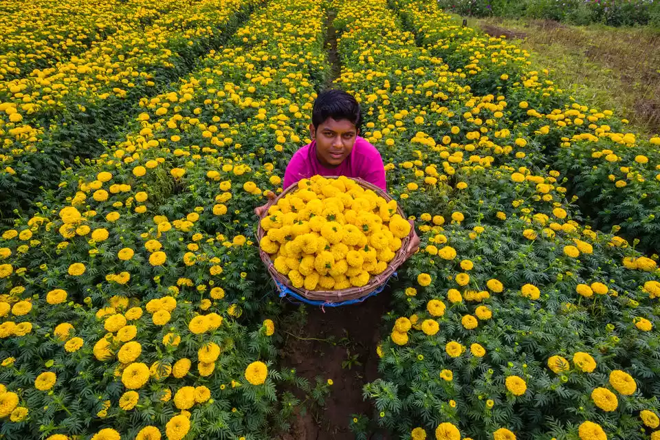Photo of There's A 'Valley Of