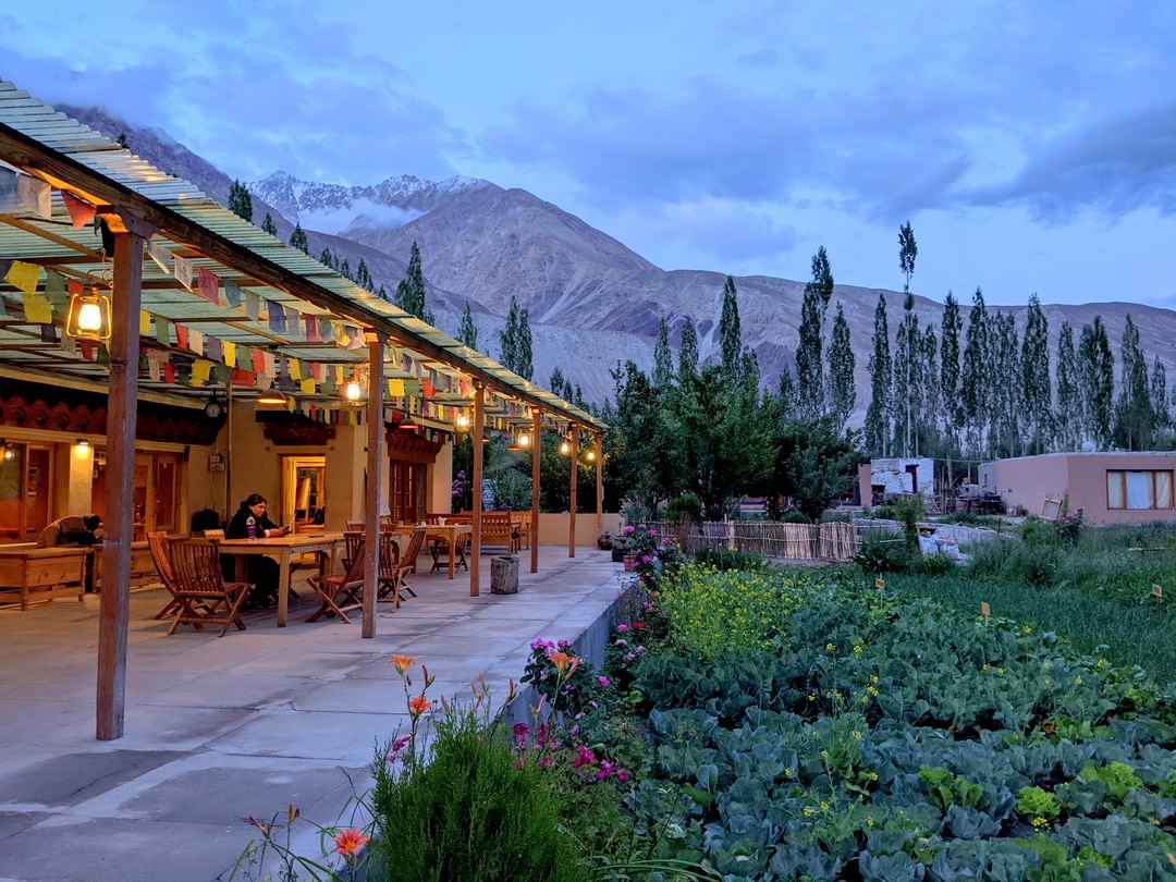 Nubra Ecolodge, Nubra Valley  Nubra Valley Camps, Tents & Guest House