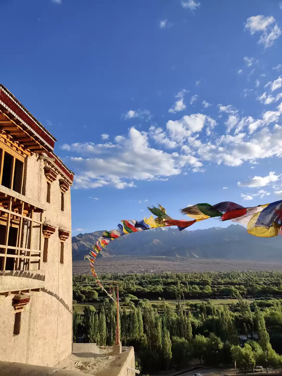 Photo of Electric Vehicle Own