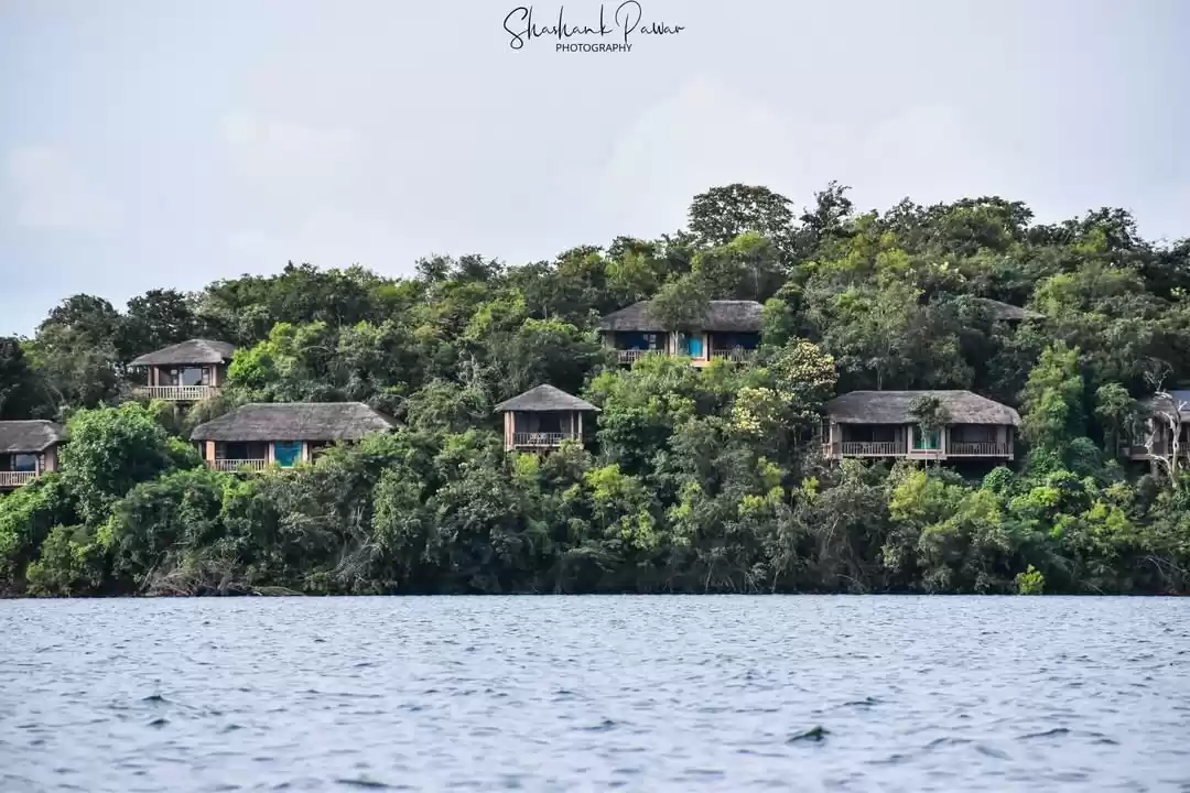 Photo of This Jungle Resort R