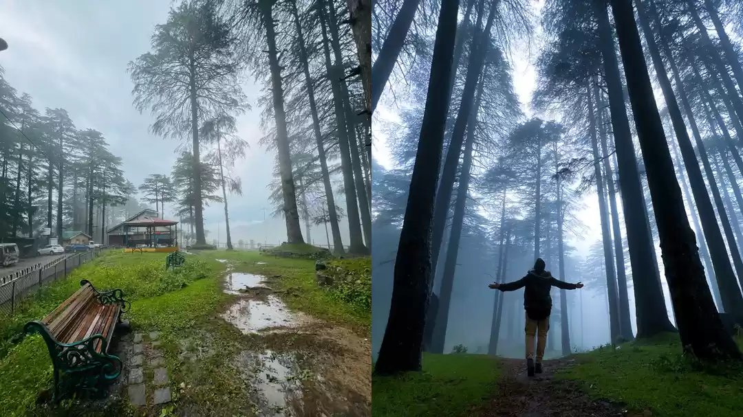 Photo of While People Flock t