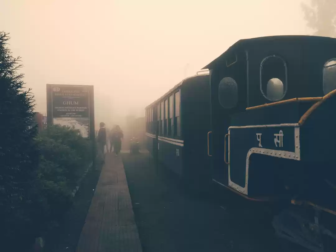 Photo of Dard in Darjeeling #