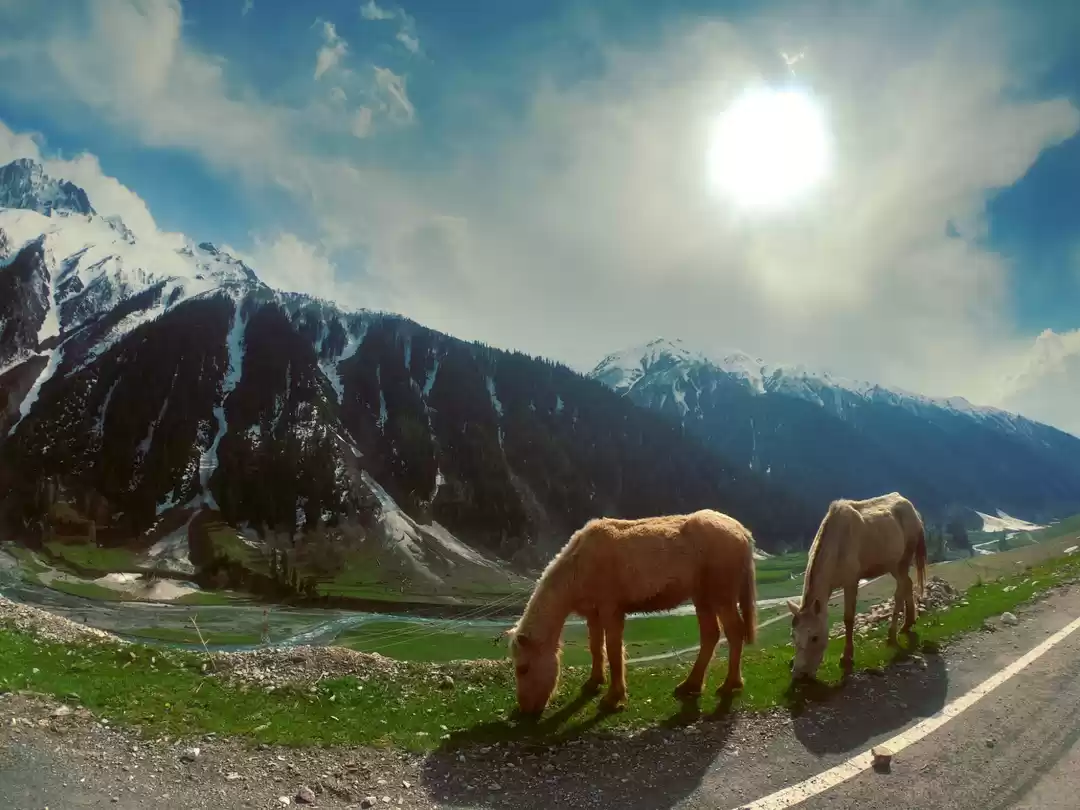 Photo of Bedi Sisters roadtri