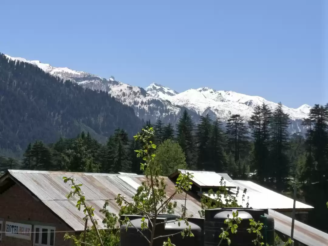 Photo of We were 'high' both 