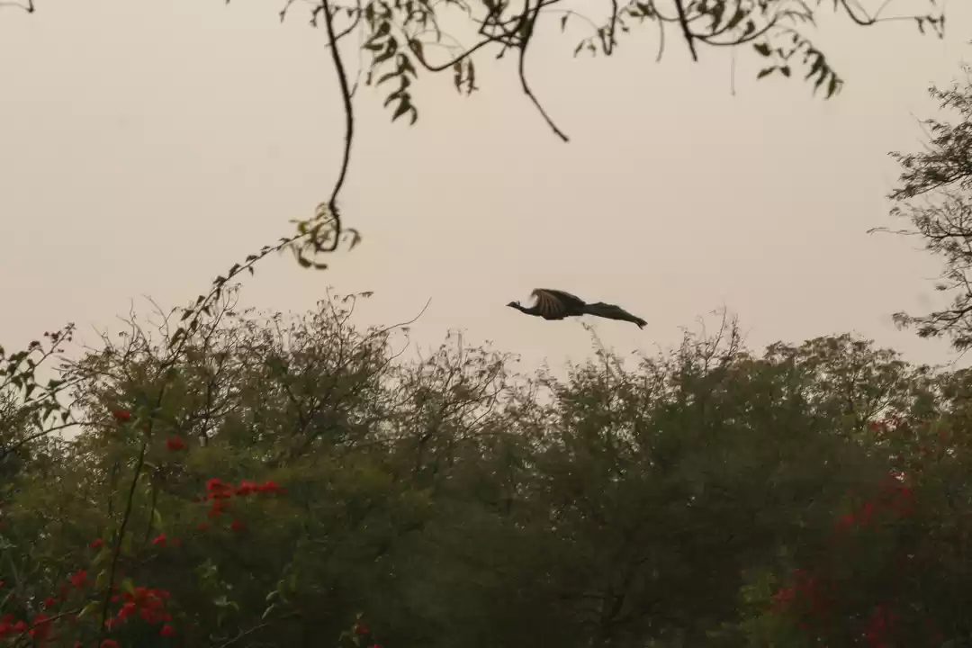 Photo of India Uninterrupted: