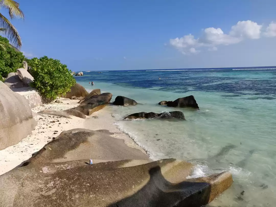 Photo of Seychelles : Honeymo