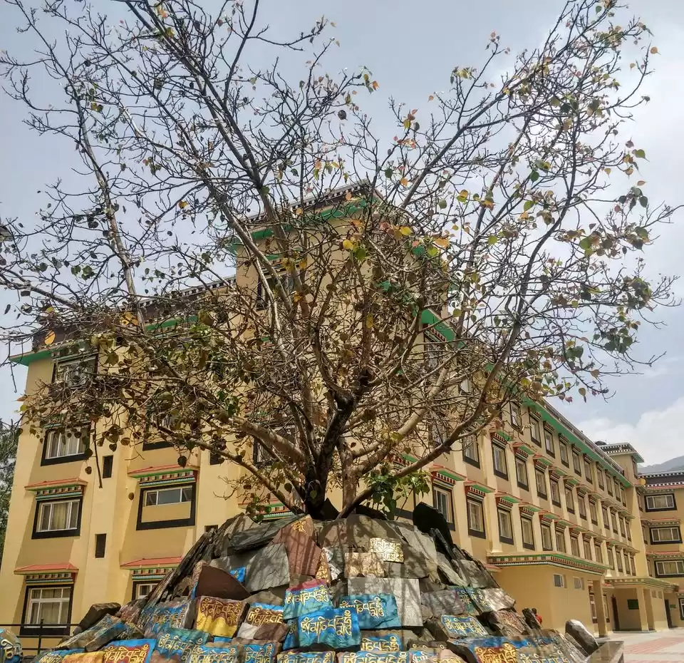 Photo of Bir-Billing: More Th