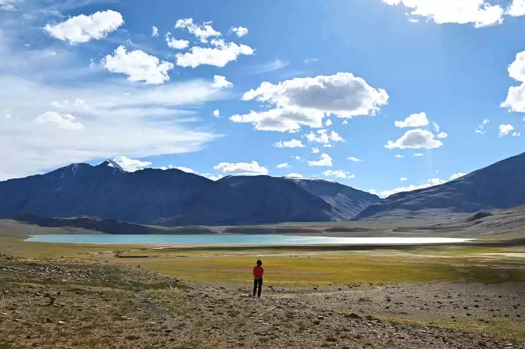 Photo of I Stumbled Upon a Go