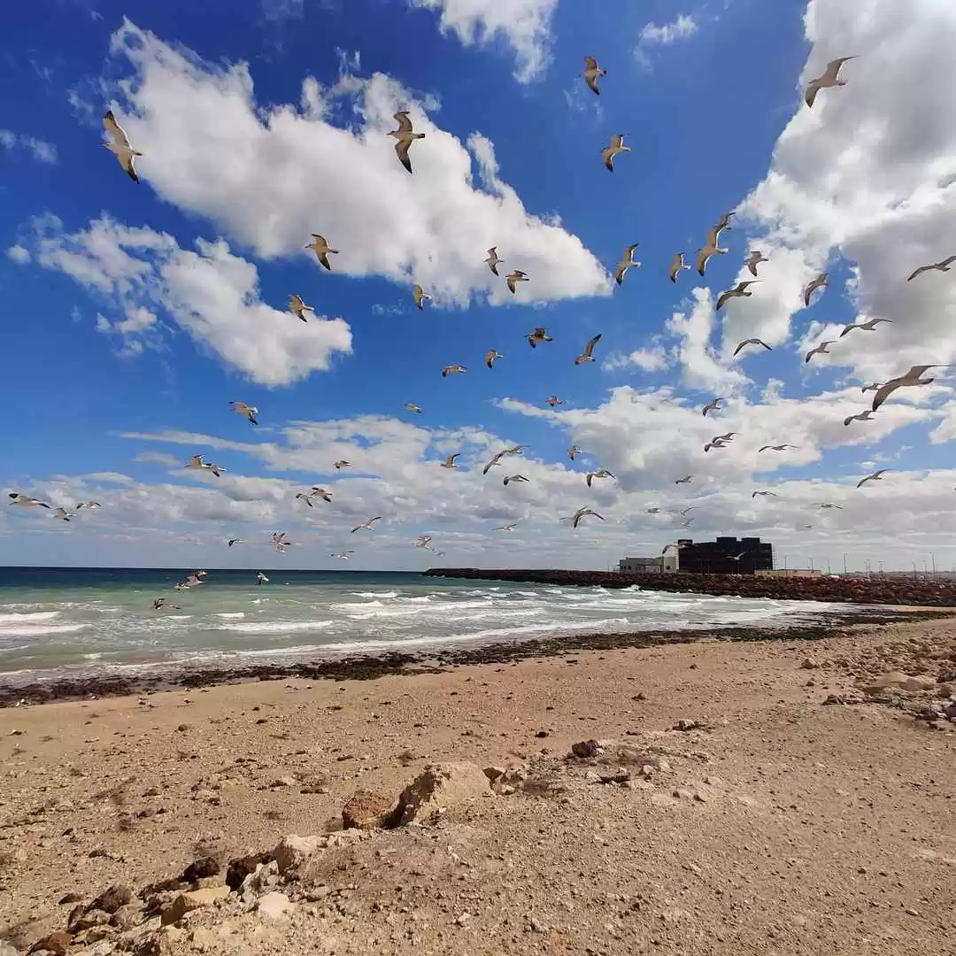 Photo of 15 Stunning Pictures