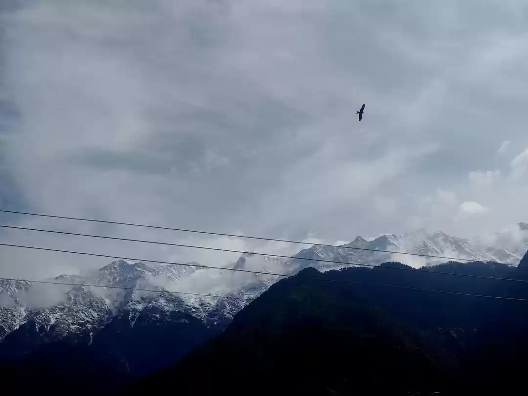 Photo of Exploring Hidden Tre