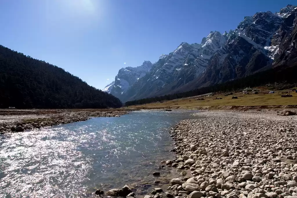 Yumthang Valley Guide