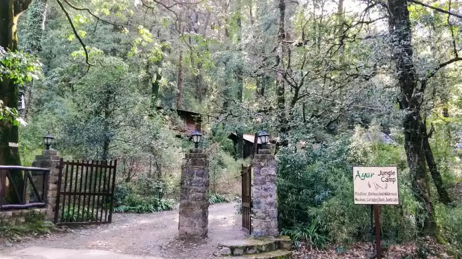 Photo of Everybody Told Me Na