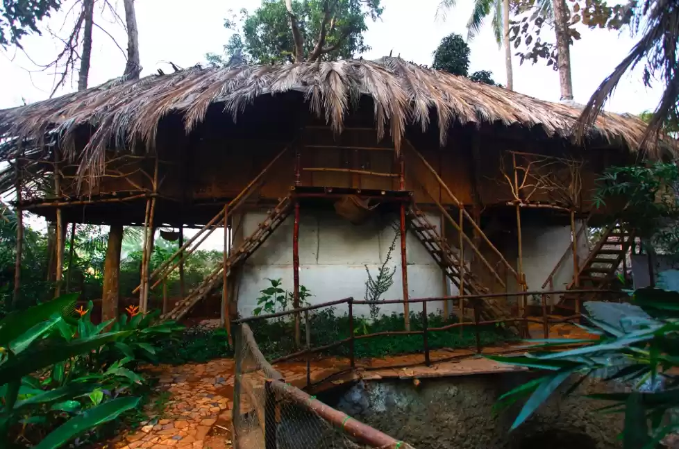 Photo of Head To Goa and Volu