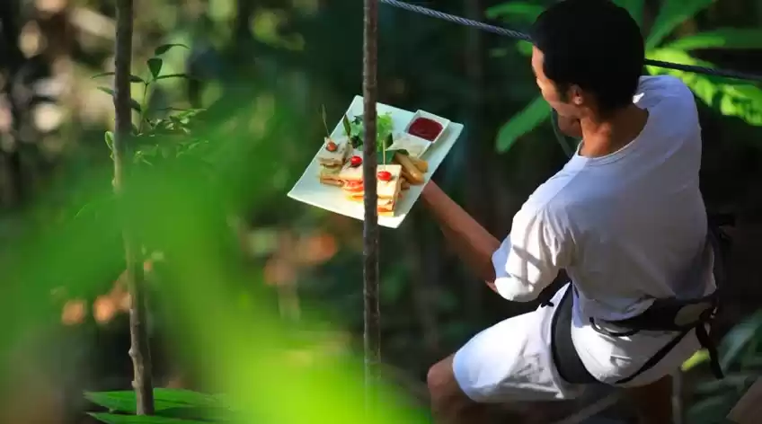 Photo of Here's a Gastronomic