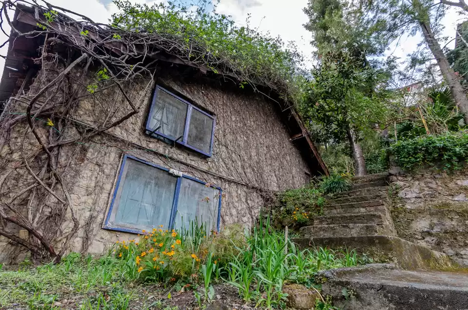 Photo of Only 7 Hours Away Fr