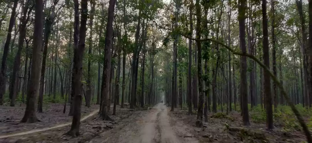 Photo of The Ugly Reality of 