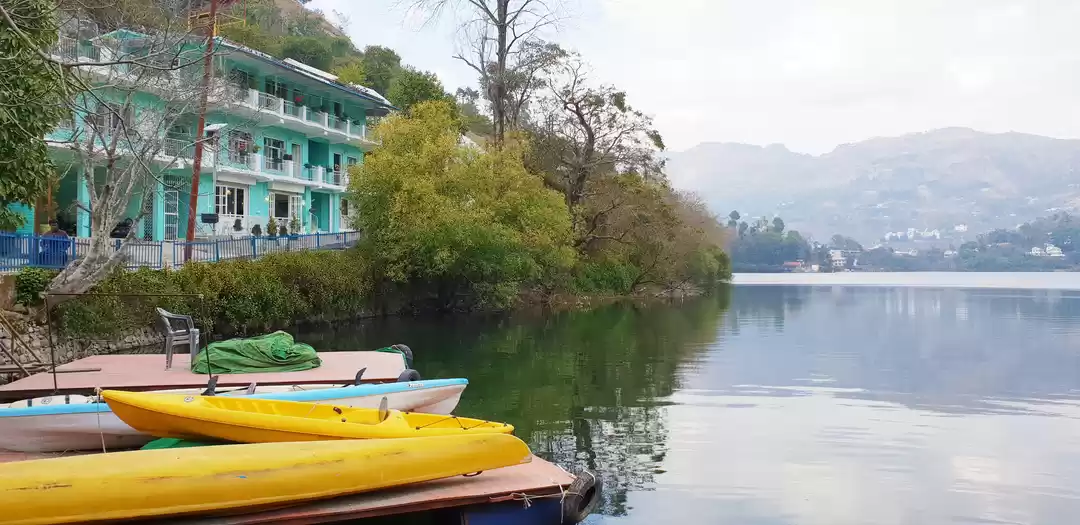 Photo of We Stumbled Upon a G