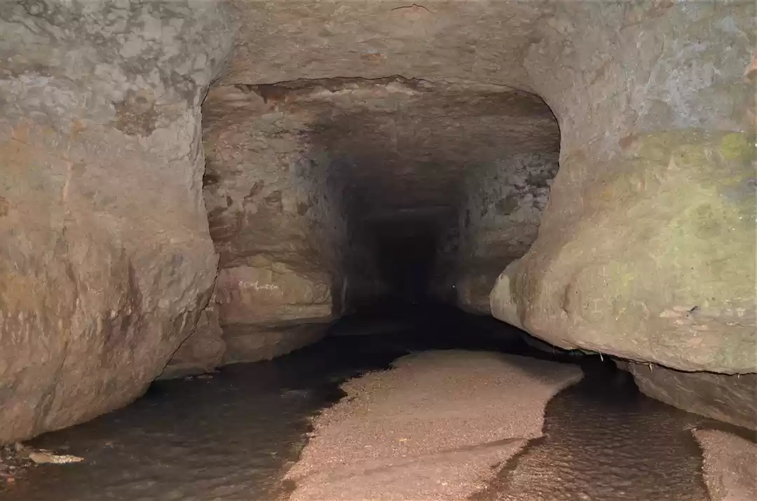 Photo of Here's How You Can E