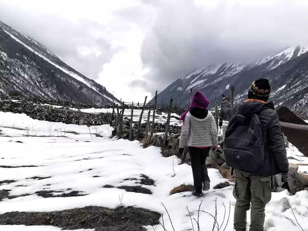 Photo of Not Sure of What To 