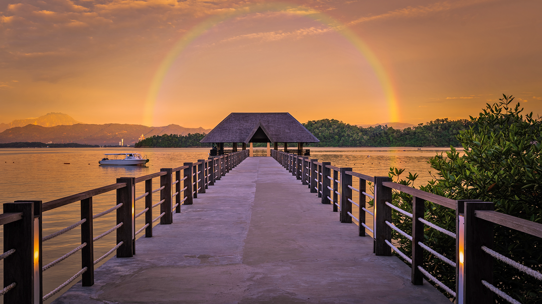 Photo of Found the Perfect Ho