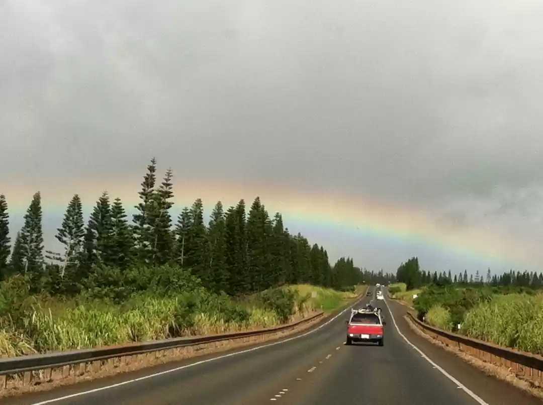 Photo of A Detailed Guide on 