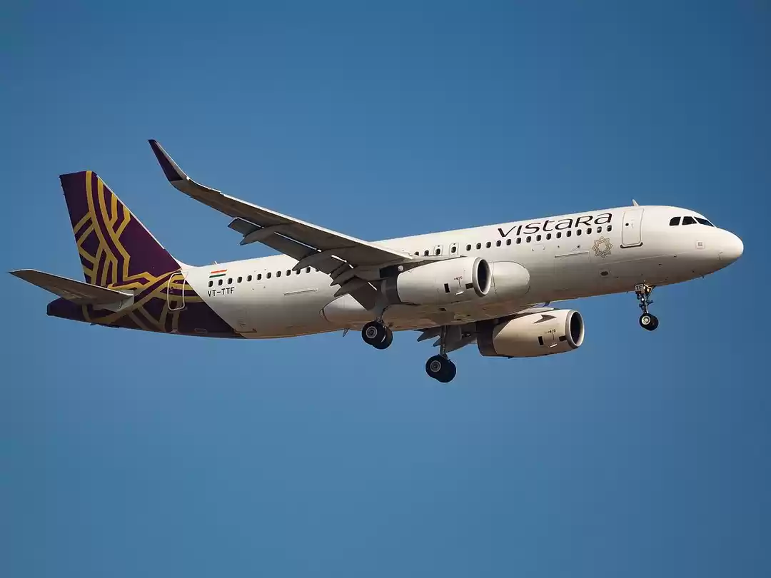 Photo of Vistara is Giving Ou