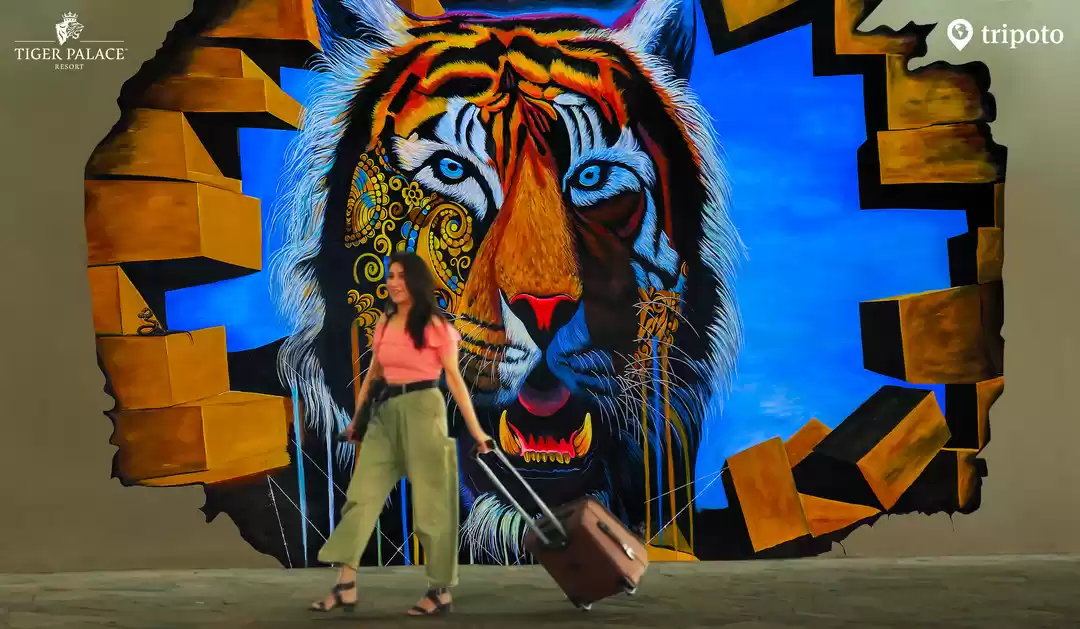 Photo of I Took An Internatio