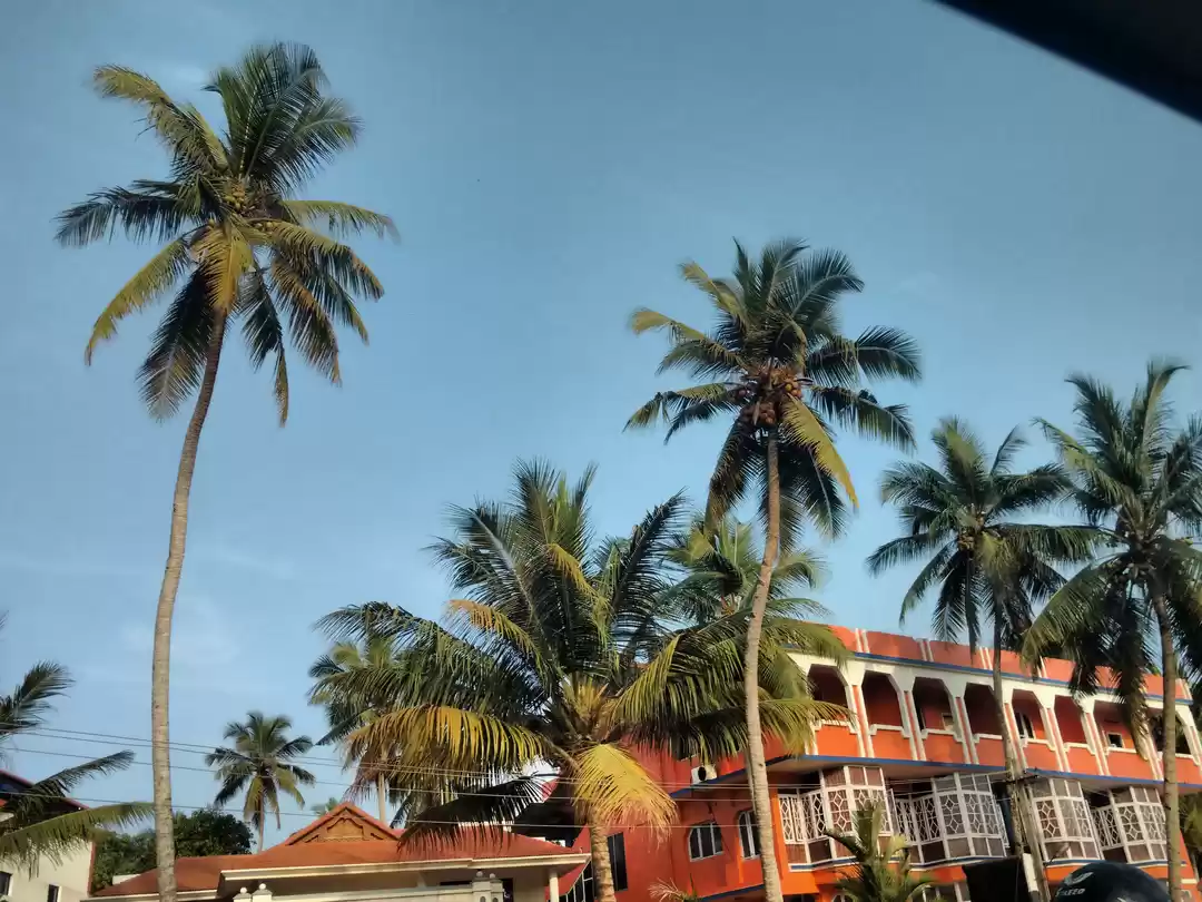 Photo of The Offbeat Kerala T