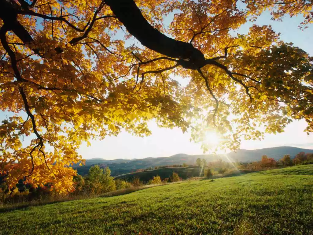 Photo of The 10 Best Places T