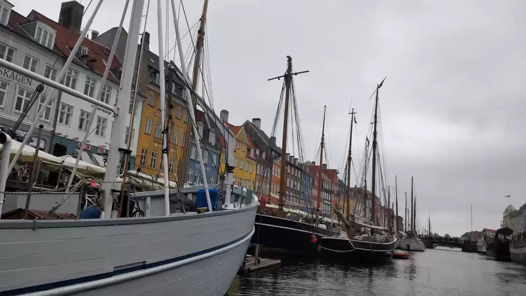 Photo of 5 reasons that makes