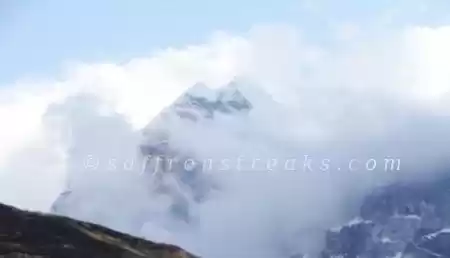 Photo of Gangotri Gaumukh tre