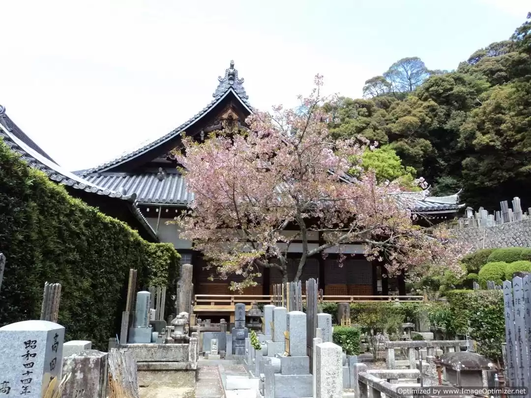 Photo of All things Japan