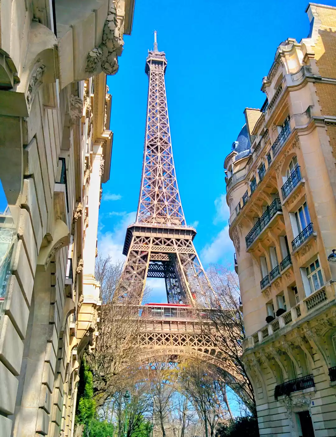 Photo of From France's Alsace