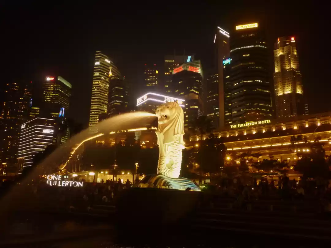 Photo of The Land of the Merl