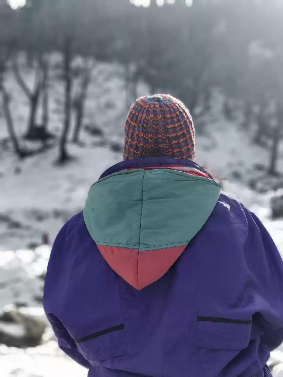 Photo of #Tripotoclickshimala