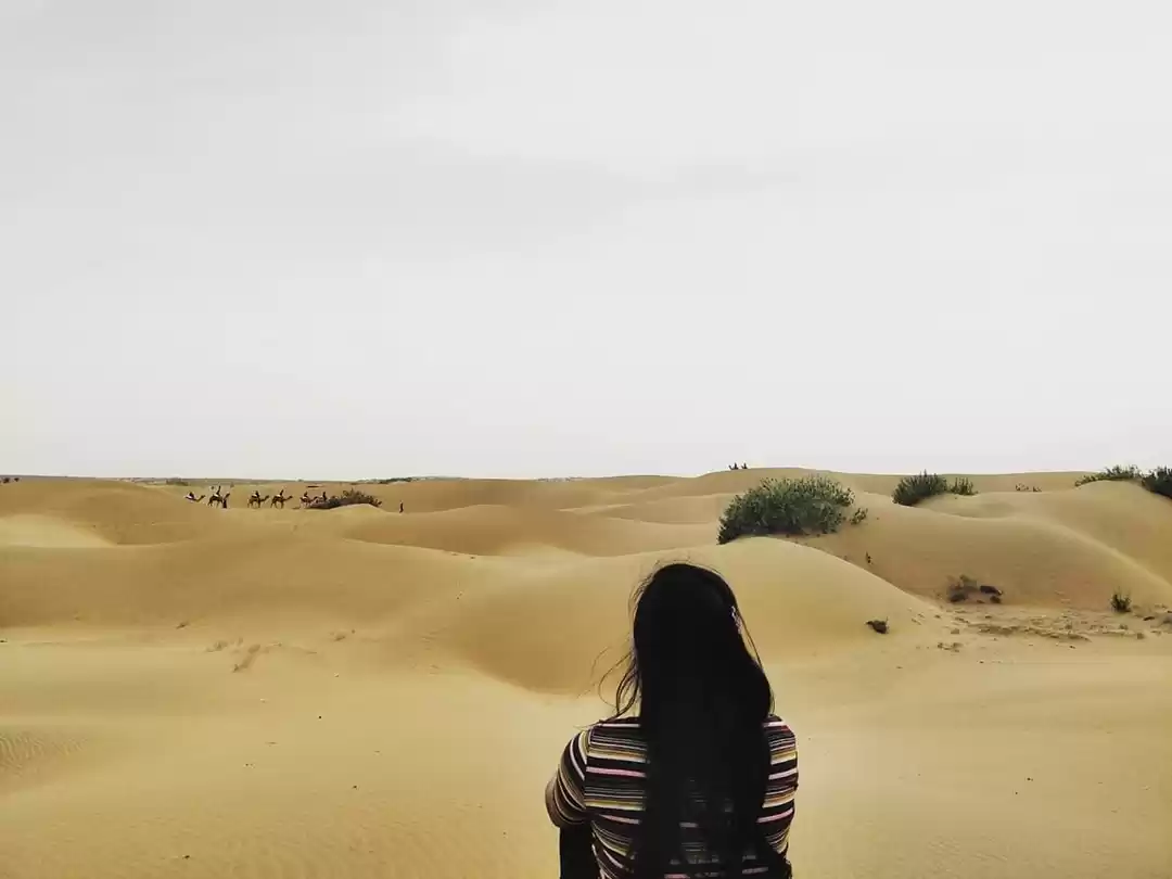 Photo of Jaisalmer - The Gold