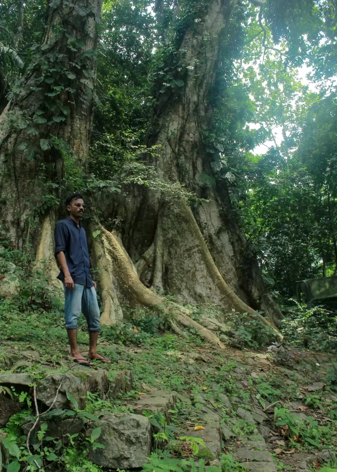 Photo of Kochareekkal Caves, 