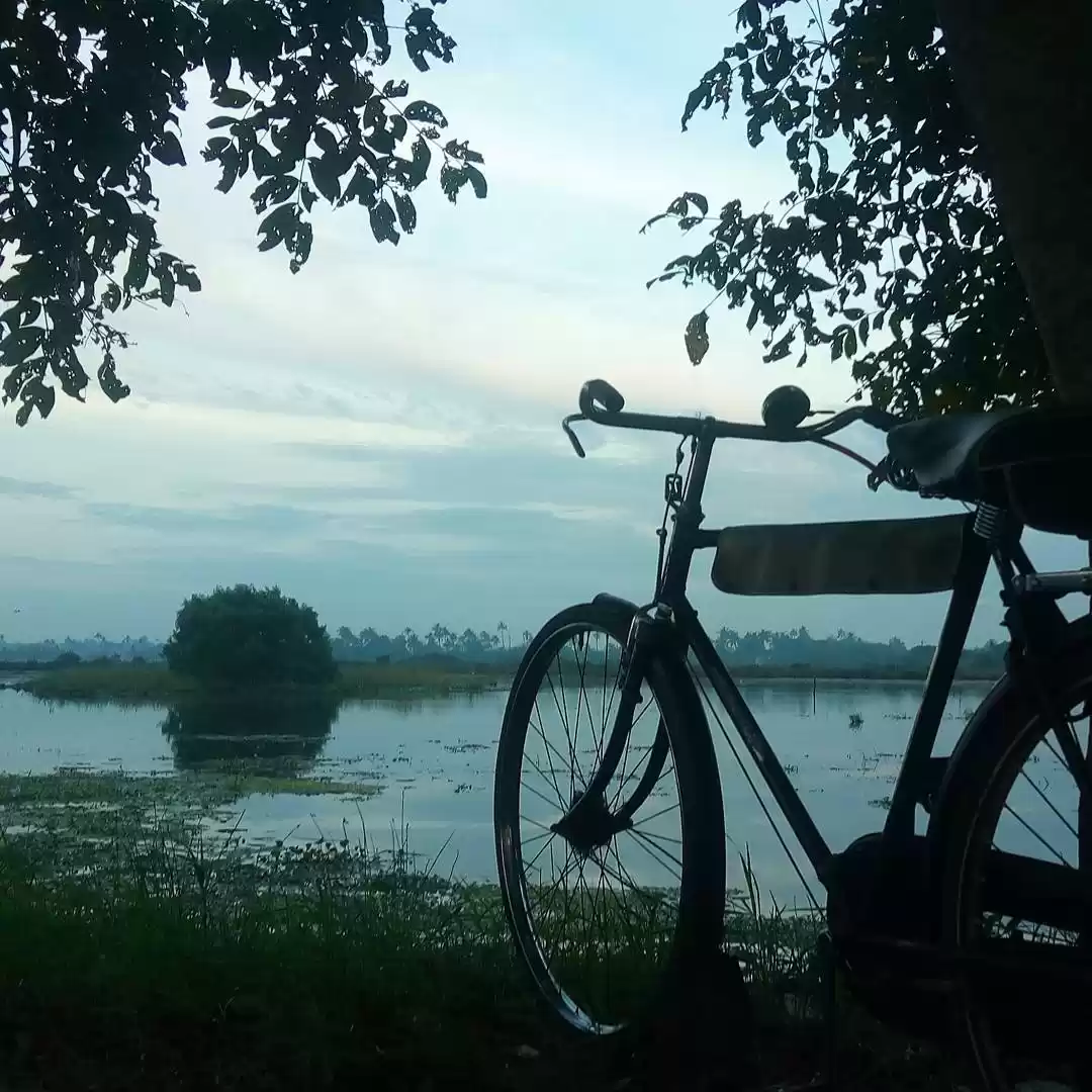 Photo of Kadamakkudy, Kerala