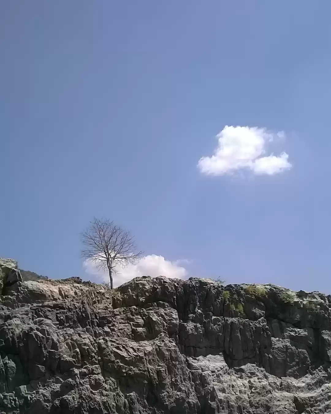 Photo of Hogenakkal Waterfall