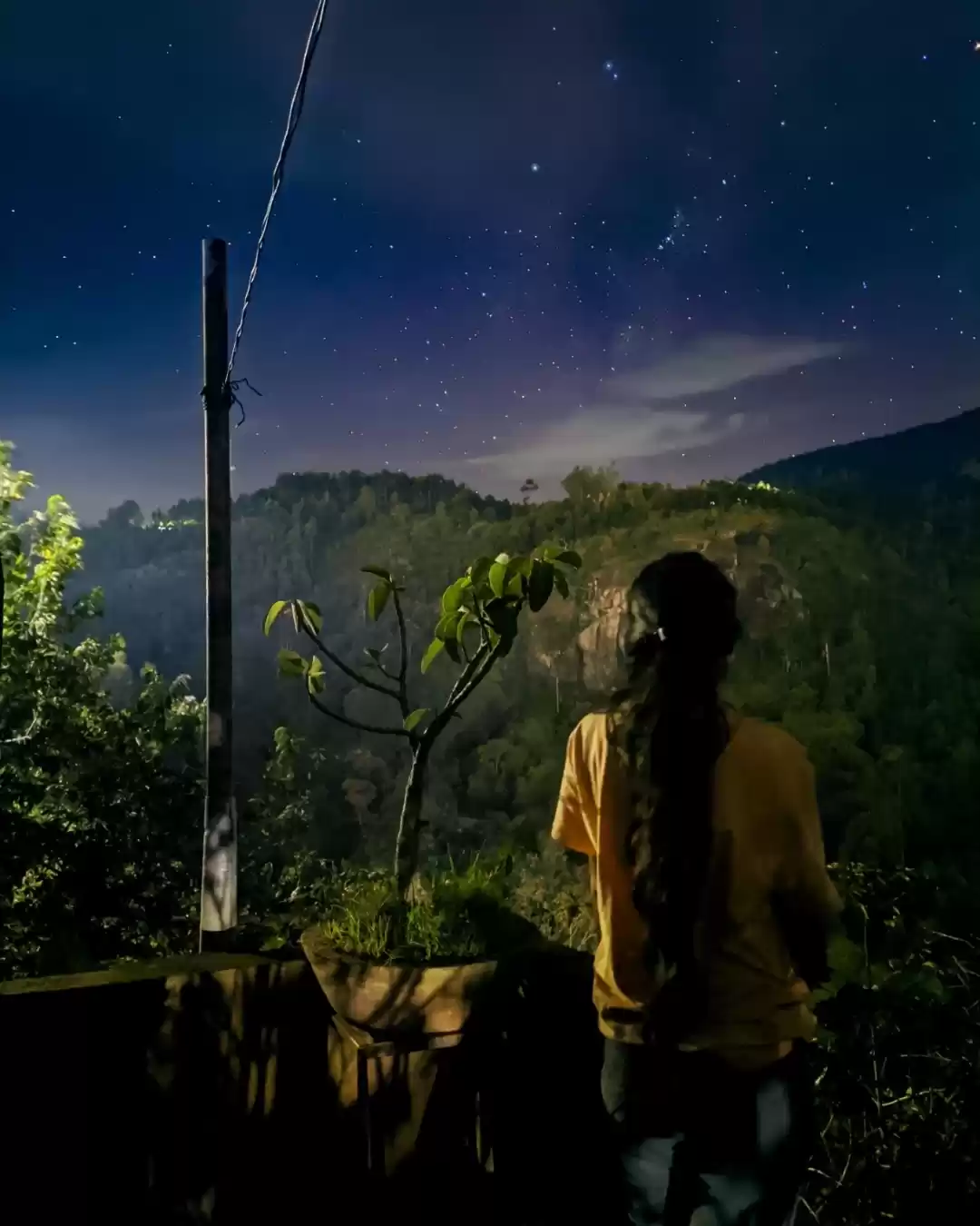 Photo of Night view from Kant