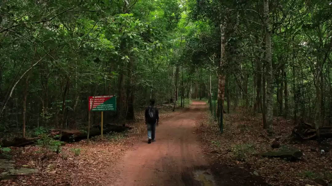 Photo of Kudukkathupara Eco T